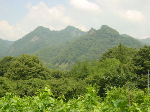 Dsc02417
